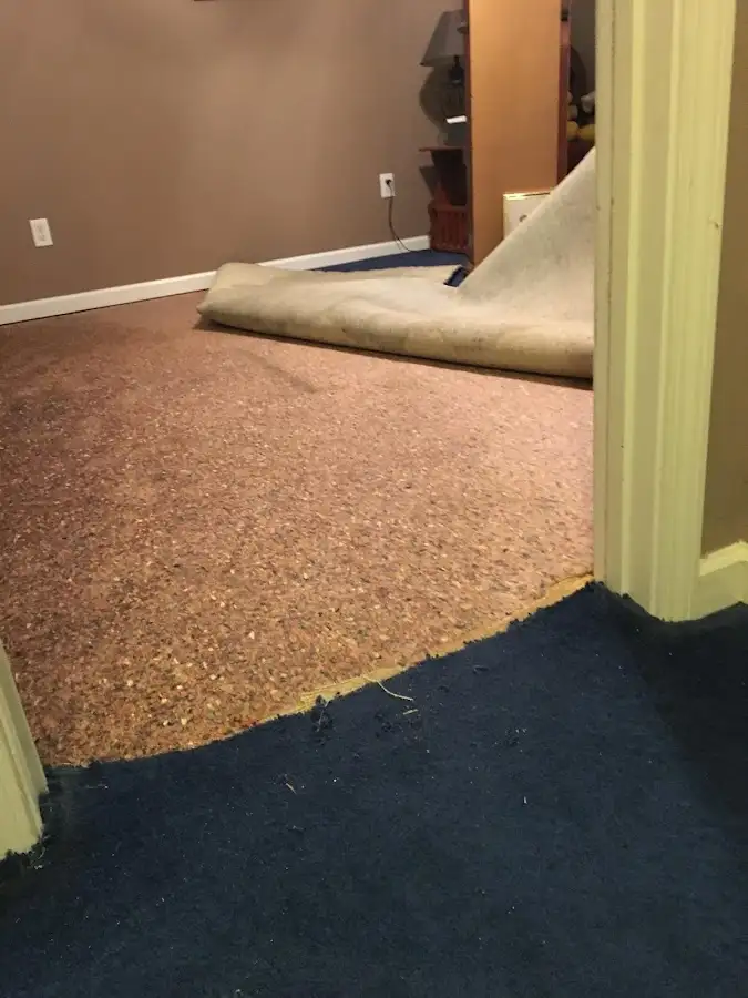 Carpet pad removal revealing water damage during Water Mitigation Services in Collegedale