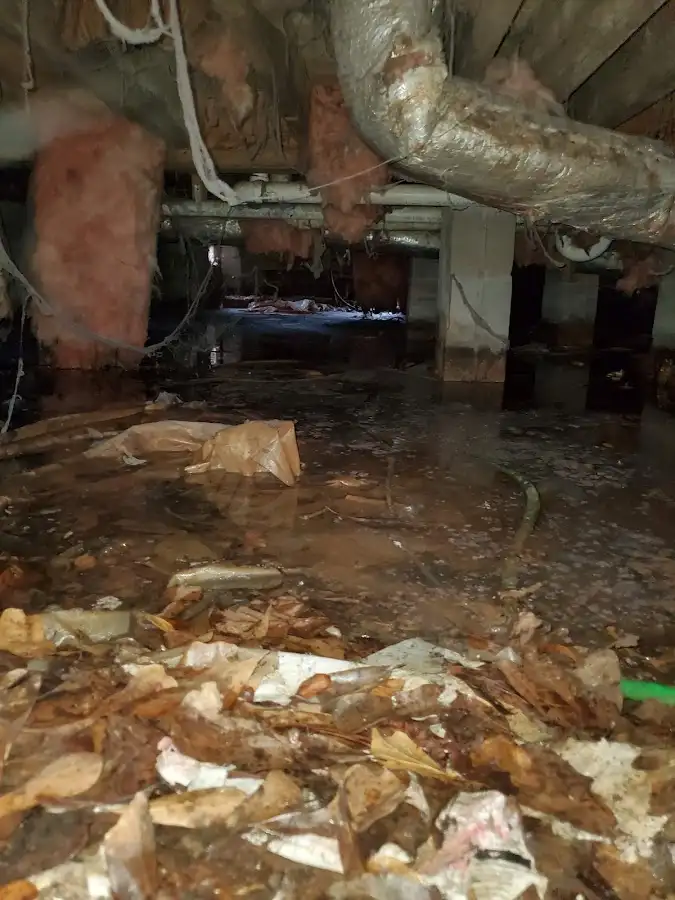 Crawl space flood assessment for Commercial Water Damage Restoration in Collegedale