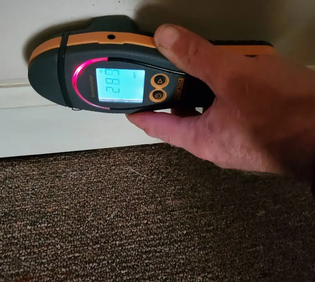 Moisture detection at baseboard during Mold Inspection & Testing in Collegedale